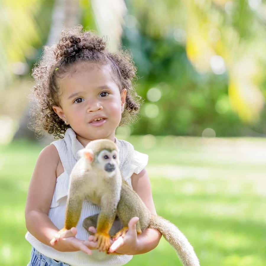 Punta Cana: Tour Monkey Adventure With Hotel Pick Up