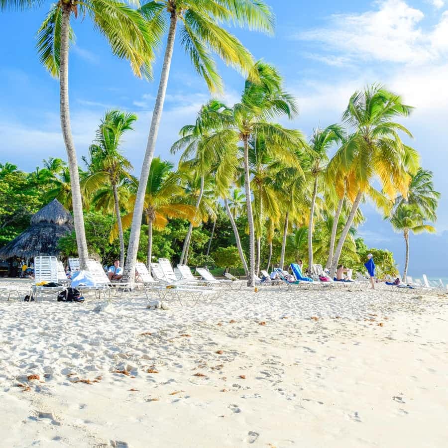 Bayahibe to Samaná Whale Watching | Private Catamaran Tour