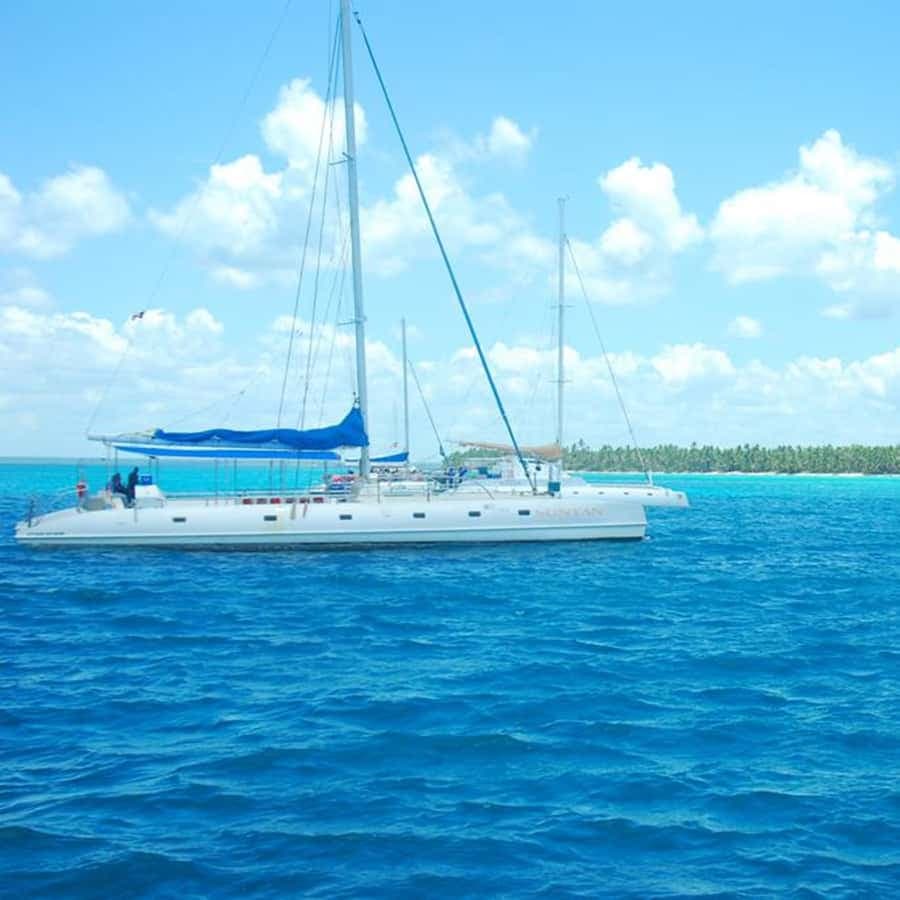 Juan Dolio: Saona Island Full-Day Tour with Lunch & Drinks