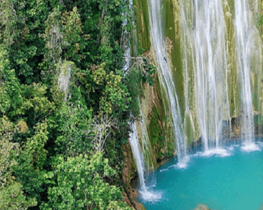 Punta Cana: Samana Full Day Tour with Lunch