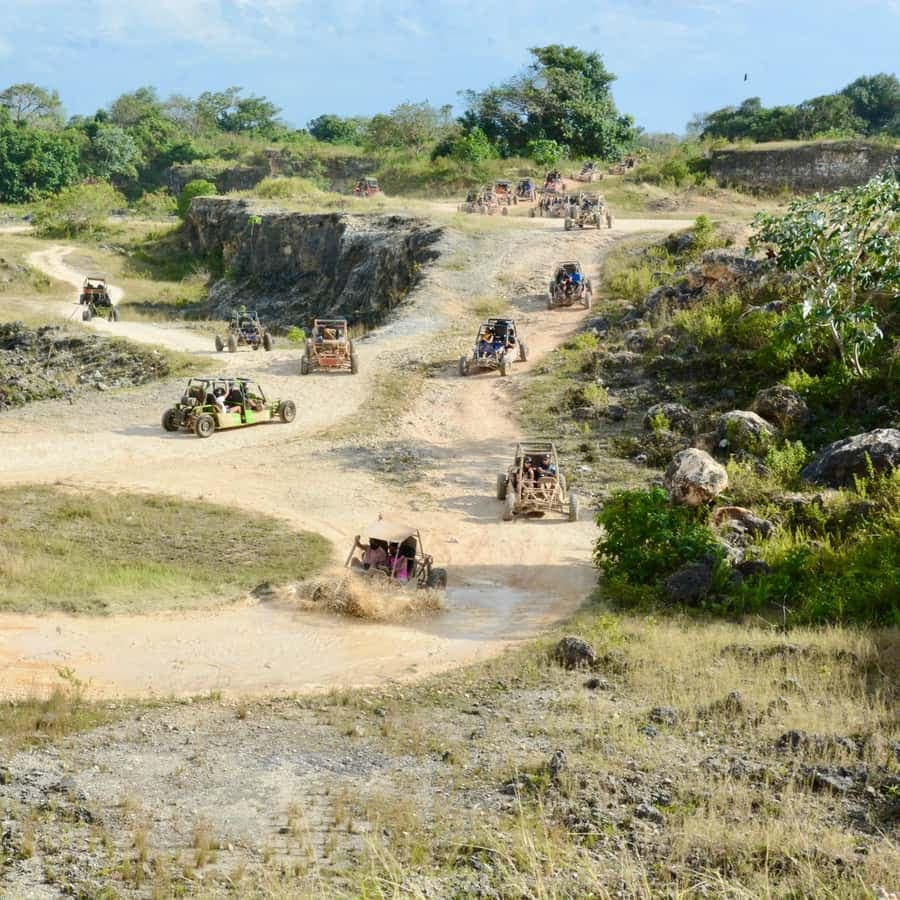 Wild Tiger Buggy: The Best Buggy Excursions in Punta Cana