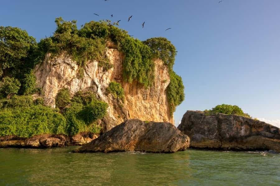 Punta Cana: Samaná Day Trip with Waterfall & Cayo Levantado