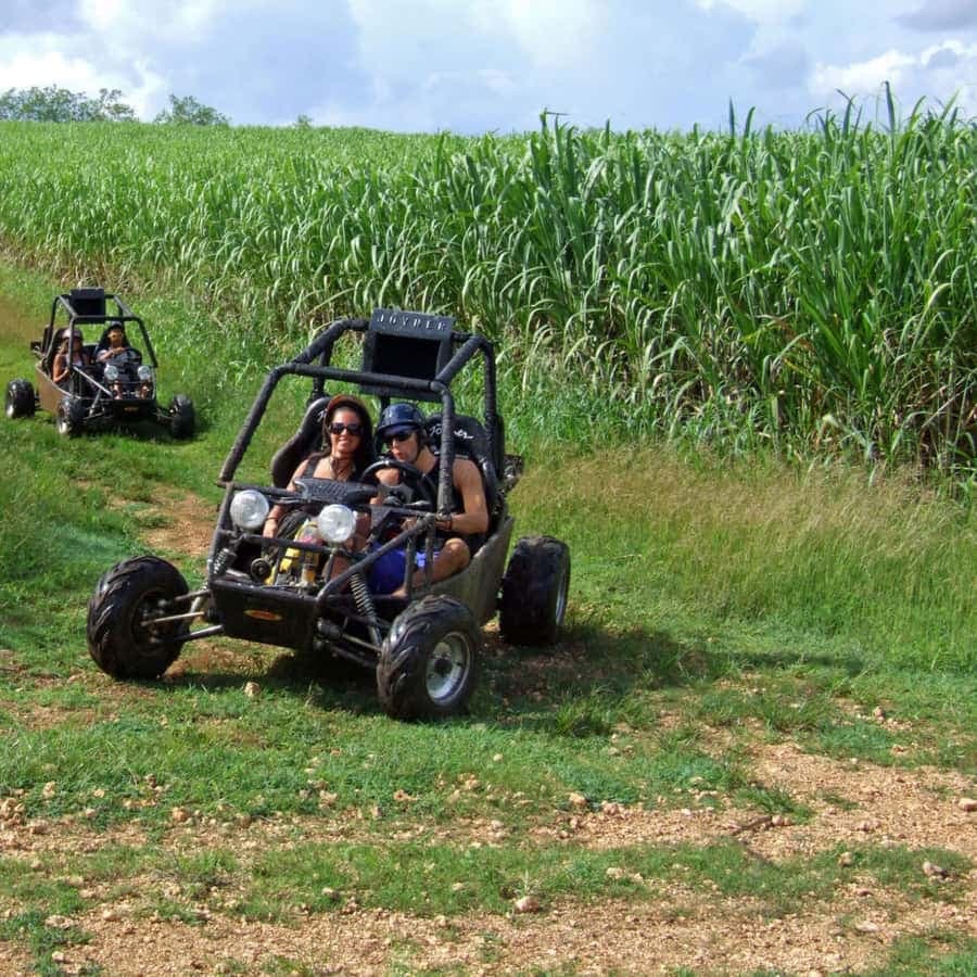 Buggy sunset - Full day - Small group