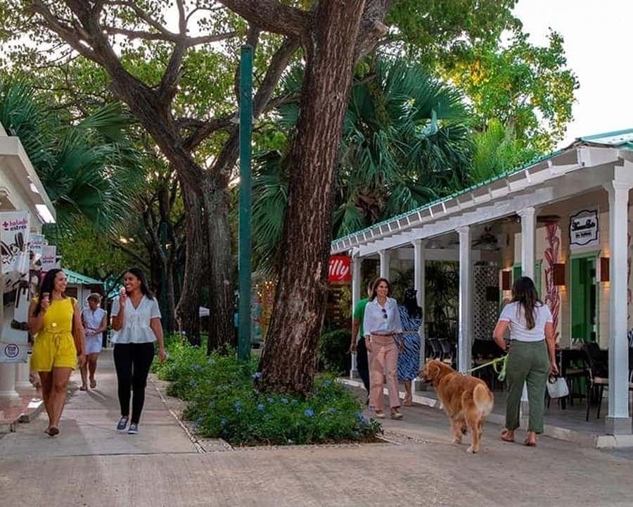 Punta Cana: Shopping Tour with Tastings and Hotel Pickup