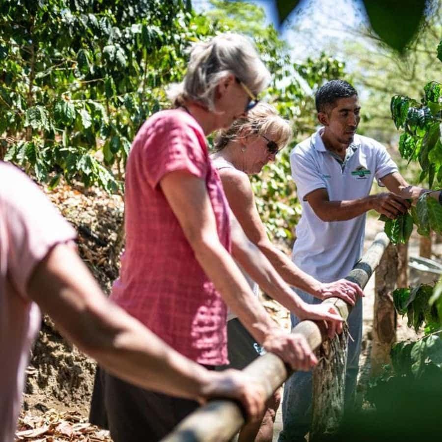 From Punta Cana: Higüey and Anamuya River Day Trip