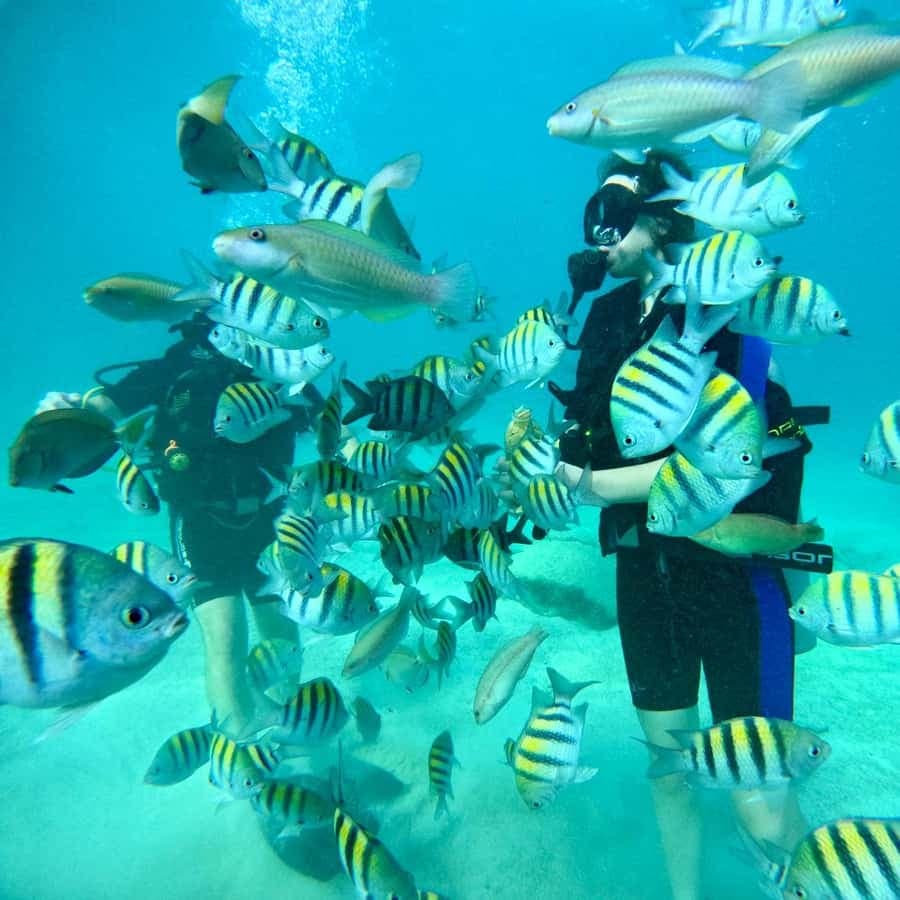 Bávaro: Scuba Diving Experience for Beginners