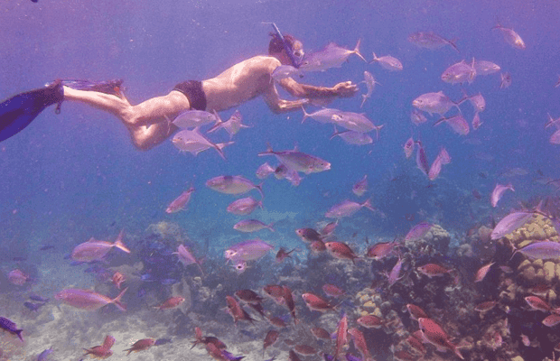 Catalina Island snorkeling Dominican Republic