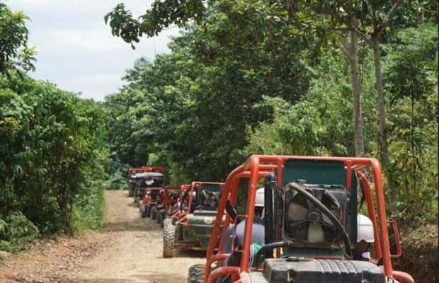 From Punta Cana or La Romana: Sugarcane Fields Buggy or Quad