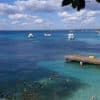 Catalina Island: Day Trip – Best Snorkeling!