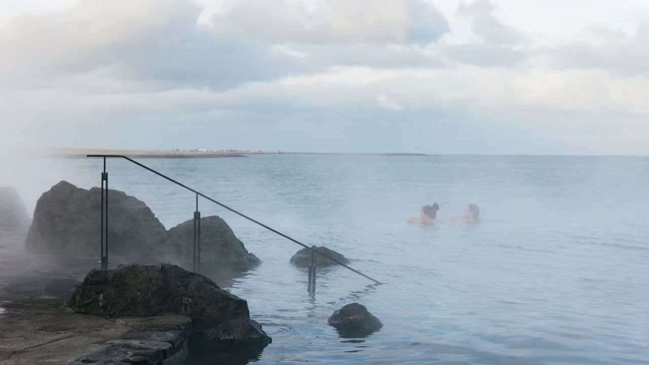 Las Terrenas: Los Haitises & Bacardi Island (Cayo Levantado)