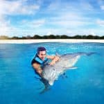 Punta Cana: Dolphin Discovery Swims and Encounters