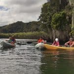 Los Haitises Sunrise or Sunset Private Kayak Excursion with Locals