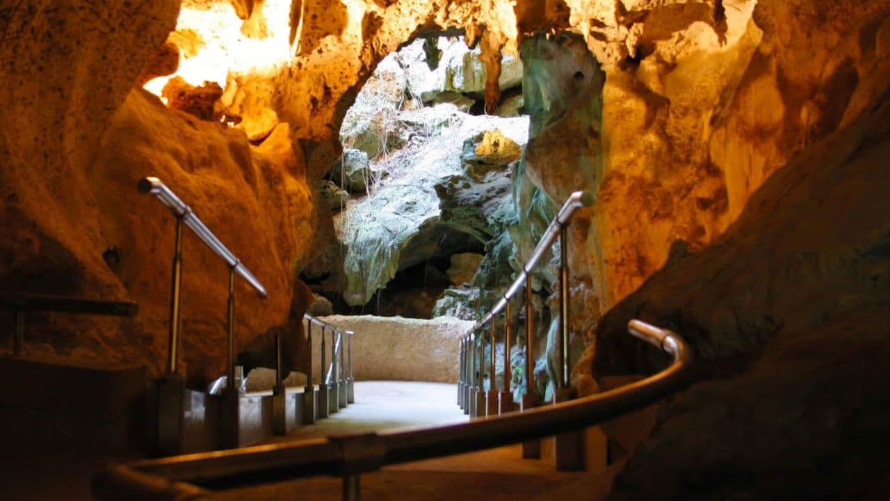 Punta Cana: Cuevas de las Maravillas and Altos de Chavón