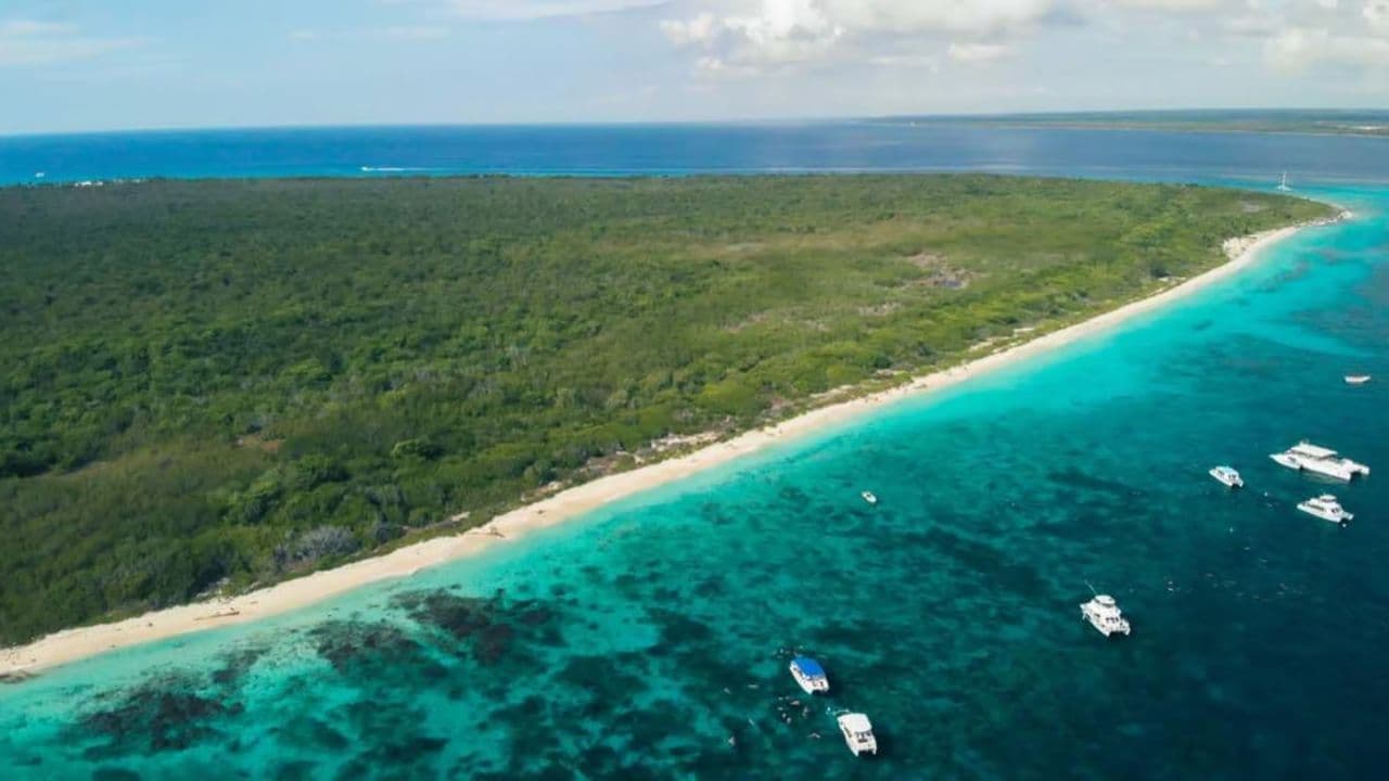 Punta Cana: Full-Day Snorkeling Tour to Catalina Island