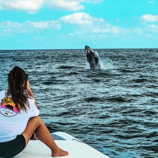 Miches Whale Watching + Laguna Limón Kayaking Tour — Meeting Point in Miches