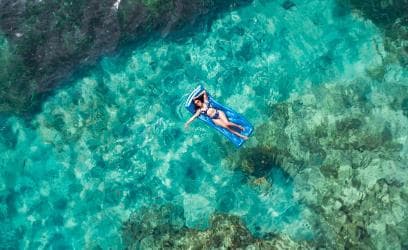 Punta Cana: Reef Explorer Access w/ Sharks & Stingrays Swim