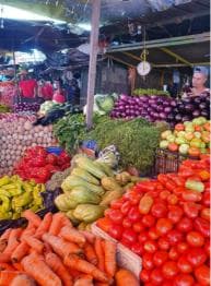 From Puerto Plata Priv: Cocoa, Coffee, Cigars & Local Market