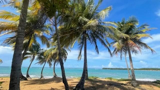 El Yunque & Piñones Tour; Hike, Eat and Chill like a Local