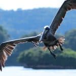 Los Haitises Mountain Bike + Private Boat Trip