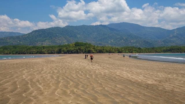 Uvita: Marino Ballena National Park Whale-Watching Tour