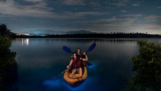 Vieques: Bioluminescent Bay Full Clear Kayaking