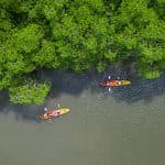 Hotel Caño Hondo Room + Breakfast + Kayaking Los Haitises 2 Hours