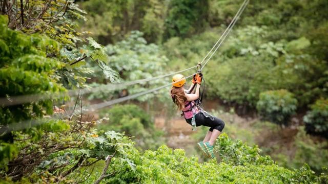 Toro Verde: Zipline + The Beast with Transportation