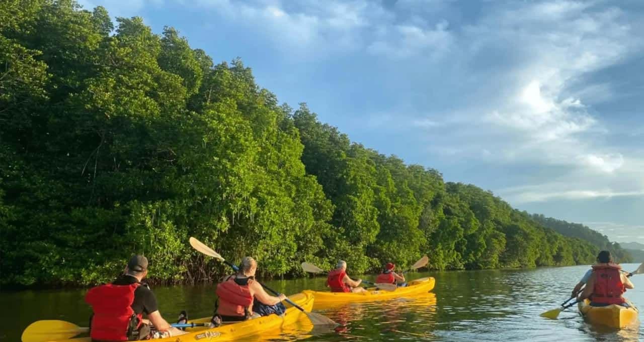 Samana: Los Haitises combining ATV riding, kayaking through mangroves