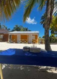 From La Romana: Saona Island for Aida Cruises Passengers