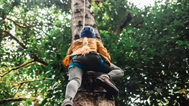 Monteverde: Arboreal Challenge Course - 5 in 1 Adventure -