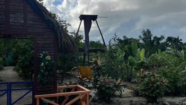 Private Half Day Tour in Punta Cana-Higüey with Local Guide