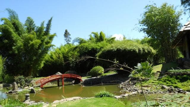 Cartago: An Unique Selections of Cartago Wonders