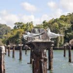 Hotel + Hiking +Swimming + Kayaking 2 Days trip Los Haitises