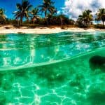 Snorkel Cayo Levantado and Farola island Snorkeling