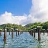 Los Haitises National Park Tour from Las Terrenas, Samaná. Half Day Trip. Lunch at Caño Hondo