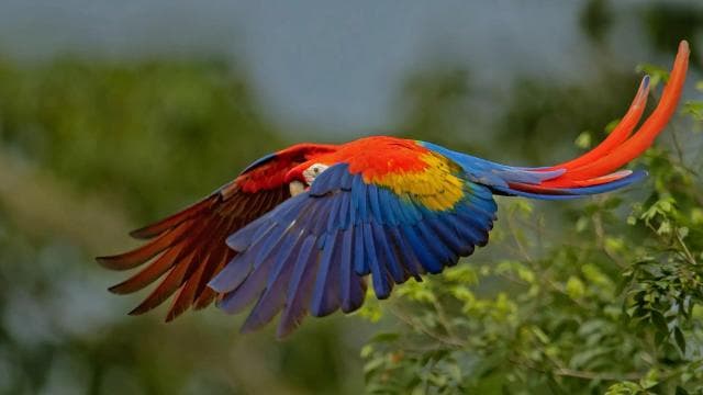 Uvita: Marino Ballena National Park Private Hike & Wildlife