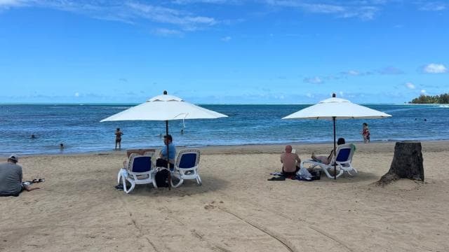 El Yunque Rainforest Waterslides and Beach Tour & Transport