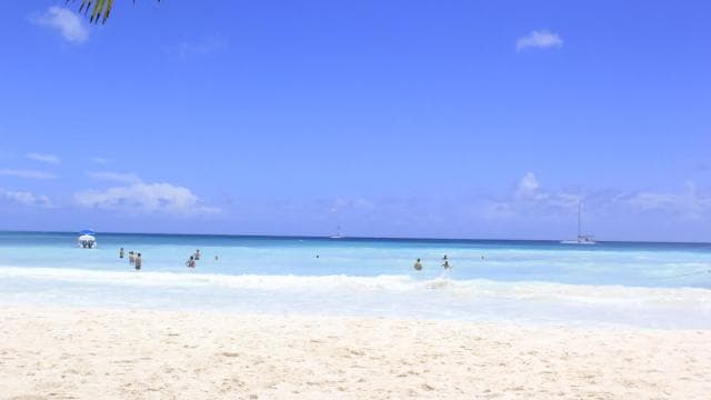 Punta Cana: Saona Island and Altos de Chavón Day Trip
