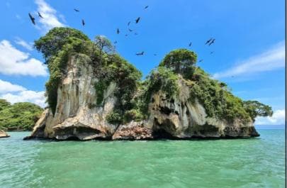 Samana: Los Haitises Kayaks & Caño Hondo Pools Tour w/ Lunch