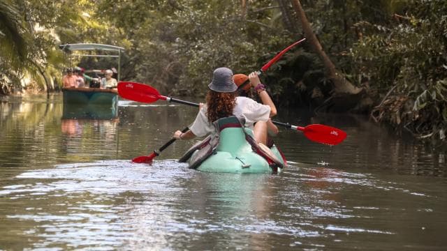 Quepos: Kayak Tour in the Mangroves Near Manuel Antonio Park