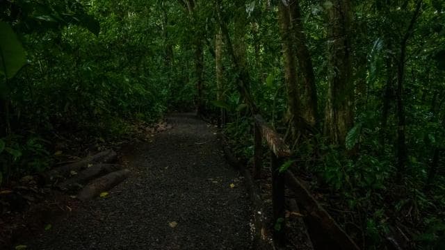 El Tanque: GreenEcoPark Guided Hike with Seasonal Fruits