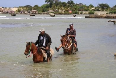Beach horse back riding with countryside