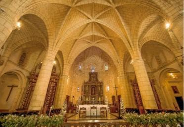 Miches: Santo Domingo Private Tour with Dominican Charm