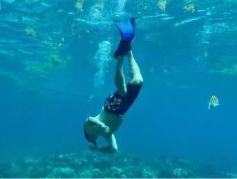 From Punta Cana: Small Group Catalina Island Snorkeling Tour