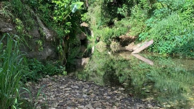 PUERTO RICO: Custom Hiking Tours with Transportation!!