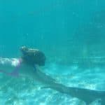 Four Adventures: Parasailing, Snorkeling Cruise, Sharks & Rays in Natural Pools from Punta Cana