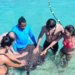 Four Adventures: Parasailing, Snorkeling Cruise, Sharks & Rays in Natural Pools from Punta Cana