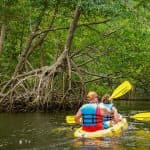 Caño Hondo : Los Haitises Sunrise or Sunset Private Kayak Excursion with Locals