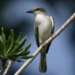 Hike + Kayak Los Haitises National Park from Boca Chica