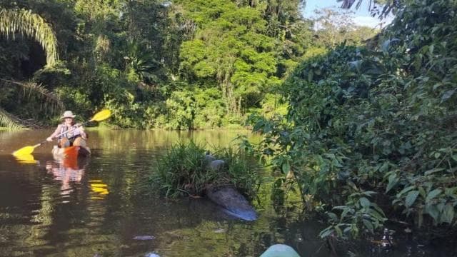 Tortuguero National Park: Kayak Tour with Guide
